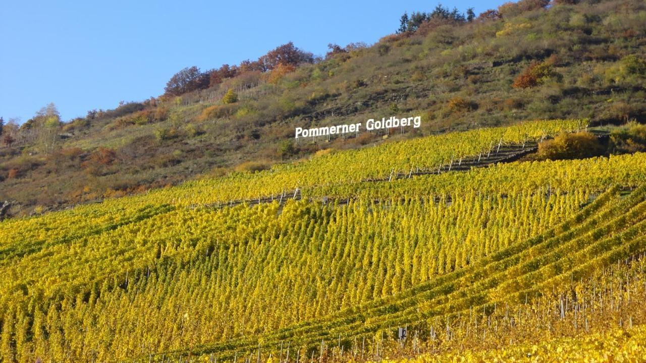 Ferienwohnung Im Bachtal Pommern Exteriér fotografie